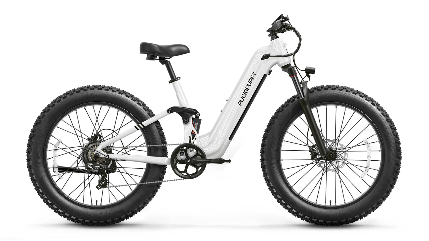 Boxer ST Elcykel