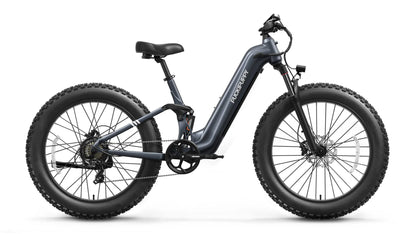Boxer ST Elcykel